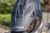 11303.